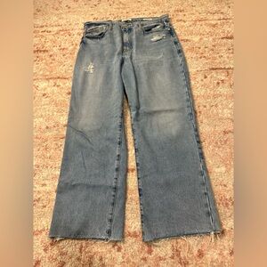 Frame Jeans, Le Jane Crop size 31
